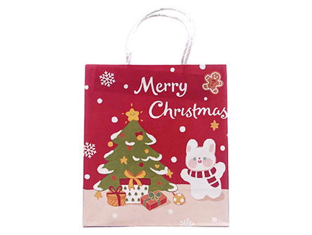 Christmas Gift Bags For Kids